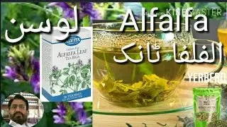 Alfalfa plant . Alfalfa Tea ,and Alfalfa Tonic  in medical . Medicago sativa . Lucerne