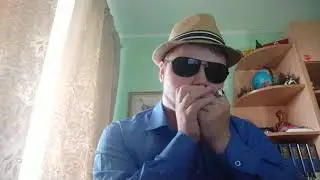 Adele -- Skyfall harmonica cover