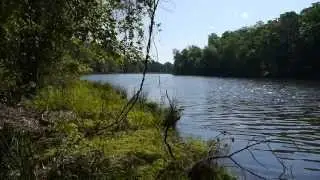 Durant Nature Preserve - Bass Fishing