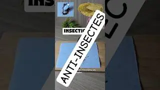 Insecticides maison : rem&egrave;des naturels contre les nuisibles