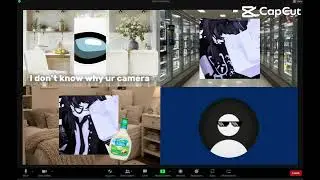 zoomcall incident 