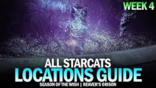 All Starcat Locations Guide - Week 4 (Reaver's Orison) [Destiny 2]