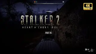 Stalker 2 | Just a walk | Inventory fix| Part 26 | Walkthrough 4K | No commentary