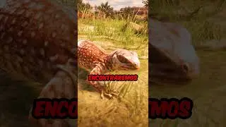 Animales Raros de Ver en RDR2 🤔