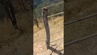 lay bye along Great East Road (Manenekela)