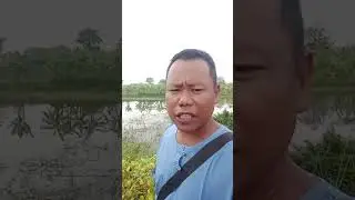 ပိုလာဝက်ဝံက ေပးတဲ့သင်ခန်းစာ
