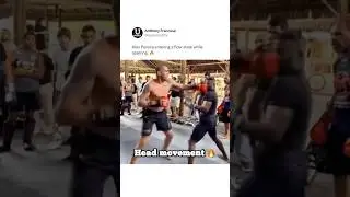 Alex Pereira head movement. 🔥 #mma #ufc #alexpereira