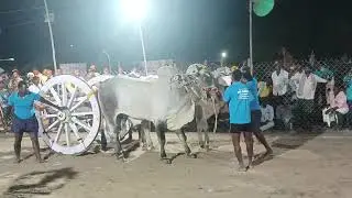 Gorla Pothuraju bulls got💥🏆🥈2nd prize🥈🏆💥 in kollipaara
