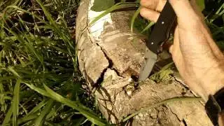 OperationalExtras Lone Wolf knife Review