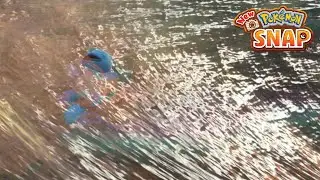 New Pokemon Snap - Round and Round (4 Star Squirtle) | LenTalk Request [Maricopia Reef (Evening)]