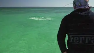 Fly Fishing for Ascension Bay Tarpon at The Palometa Club