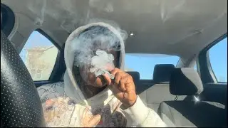 welcome to my first hotbox