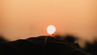 Creative Sunset photography tips and tricks 🌇📸💡...