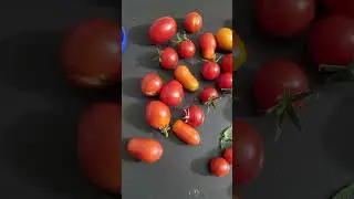Save #money each year. Simple 100 bucks min saved each year. #tomato #cucumber  seed saving 