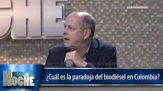 &iquest;Cu&aacute;l es la paradoja del biodi&eacute;sel en Colombia?