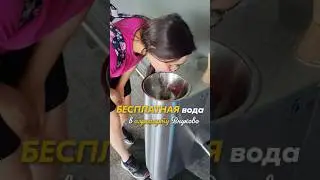 бесплатная вода в аэропорту Внуково в Москве 😅