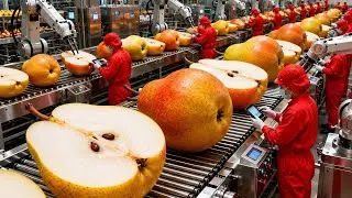 Inside a Modern Pear Processing Plant: From Fresh Pears to Crystal-Clear Pear Juice (Full Process)