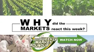 Nebraska Soybean Board Weekly Market Roundup 2 25 22 Geopolitical trade