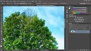 Adobe Photoshop - jak wyciąć drzewo?