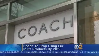 Coach To Ban Fur