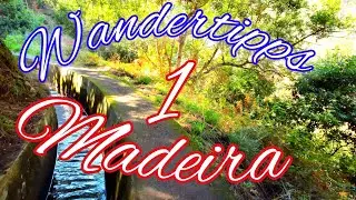 Levada Nova // Wandertipps Madeira 1
