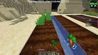Live SMP with Subscribers (Free to join any version)