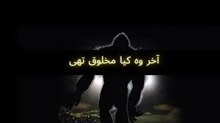 A truck driver encountered something mysterious in Texas [Urdu Story]