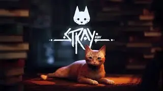 Stray_Scratch Trophy/archivements ps5 Gameplay #logros #gaming