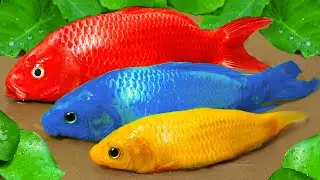 Beggar Fish Trap Hunting Bad Fish Thief Money Stop Motion ASMR Mud Relaxing | Kowo Cooking