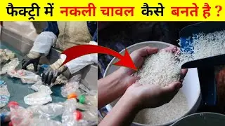 फैक्ट्री में नकली चावल कैसे बनाए जाते है ? | How is fake rice made in the factory ?