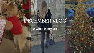 LA & PA VLOG: December Los Angeles & Pennsylvania 4K (The Grove, Rodeo Drive, Beverly Hills Hotel)