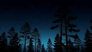 Deep Sleep with Night Nature Sounds | Cricket & Insect Sounds for Relaxation, Focus & Sleep