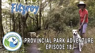 Provincial Park Adventure - Hiking Terraces Trail - Fitzroy - Ep 18