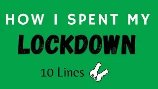 10 Lines on How I Spent My Lockdown