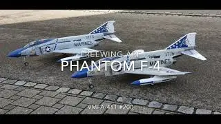 Freewing Phantom F-4