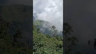 Munnar topstation @Charlietamilcm subscribe mychannel #shortsfeed #shorts #viral #trending #nature