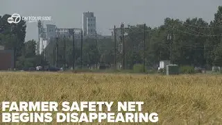 Will the 'Big Beautiful Bill' save struggling Arkansas farmers?