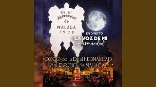 MÁLAGA TIENE UN SUEÑO