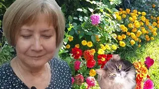 30 августа 2024 г  Ландшафтный дизайн  Загородная жизнь