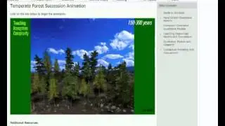 Forest Ecology Intro Video