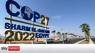 COP27: World leaders due in Egypt for climate summit