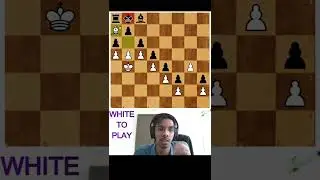 THE STRONGEST PAWN CHAIN