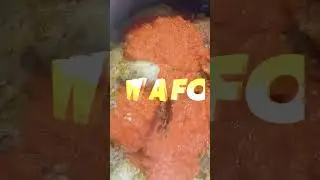 AFRICAN DELICACIES; The making ỌF&Eacute; AKWU.#Igbo Native Stew.
