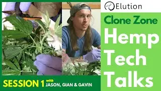 Elution Hemp  Clone Zone Session: 1
