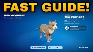 How To COMPLETE ALL THE BEST CAT SIDEKICK REWARDS QUESTS CHALLENGES in Fortnite! (Earn Points Guide)