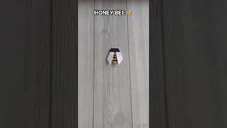 HONEY BEE ORIGAMI| HOW TO MAKE HONEY BEE PAPER CRAFT| STEP BY STEP FOLDING| ARTWORK