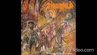 Tomb Mold &ndash; Manor Of Infinite Forms [2018]
