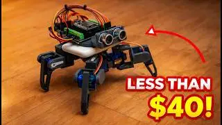 Build your Robot Pet with less than 50 dollars