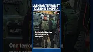 One Terrorist Killed, Two Trapped in Ongoing Shopian Encounter | India News | Kashmir Encounter