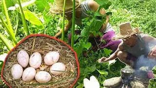 Eating delicious-cooking baby egg ducks - Primitive Technology
